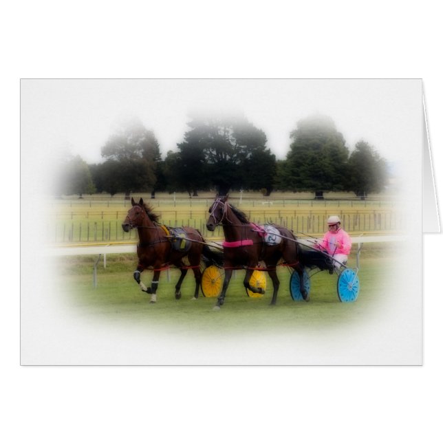 Standaardindelingen op het Racetrack (Voorkant Horizontaal)