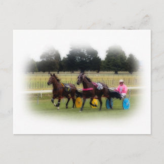 Standaardindelingen op het Racetrack Briefkaart