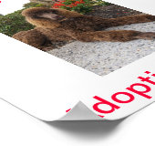 Standaardinstellingen voor portaalgebruik vandaag poster (Hoek)