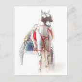 Standaardpaarden Briefkaart (Voorkant)