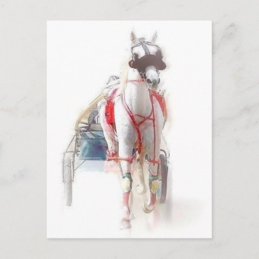 Standaardpaarden Briefkaart (Voorkant)