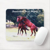 Standaardpaarden die Mousepad spelen Muismat (Met muis)