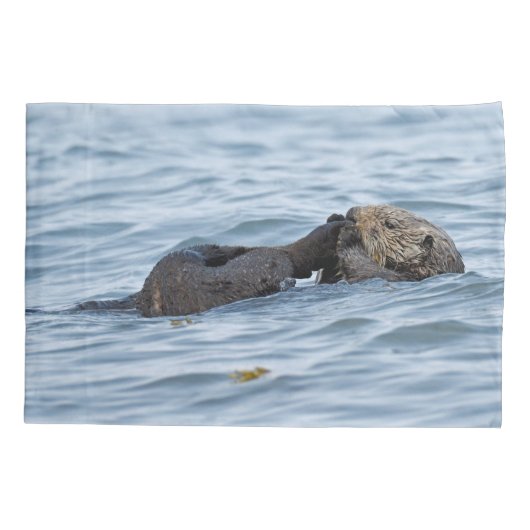 Standaardpiloot van otter kussensloop (Achterkant)