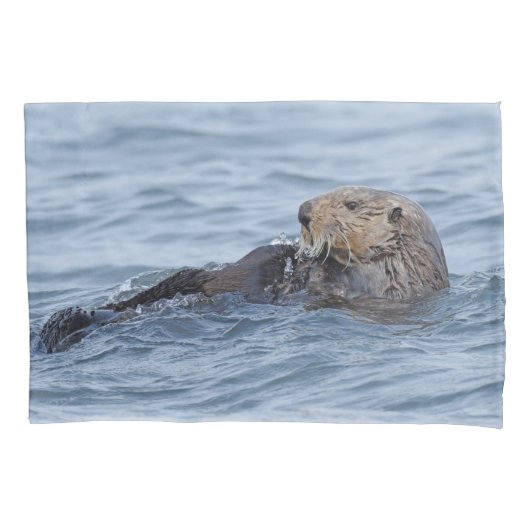Standaardpiloot van otter kussensloop (Voorkant)