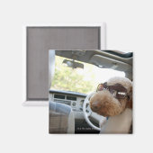 standaardpoedel 3 magneet (Voorkant / Achterkant)