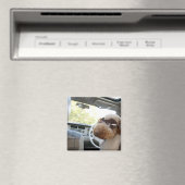 standaardpoedel 3 magneet (Insitu (Vaatwasser))