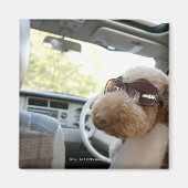 standaardpoedel 3 magneet (Voorkant)