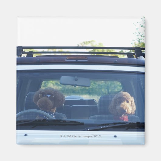 standaardpoedel 4 magneet (Voorkant)