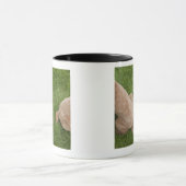 standaardpoedel mok (Midden)