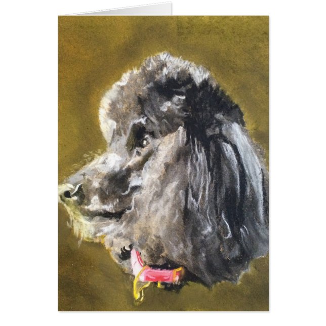 Standaardpoel (Voorkant)