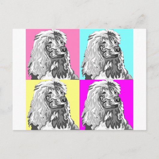 Standaardpoel doet pasta briefkaart (Voorkant)