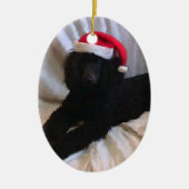 Standaardpoel Keramisch Ornament (Voorkant)