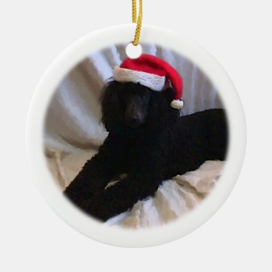 Standaardpoel Keramisch Ornament (Voorkant)