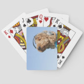 Standaardpoel Speelkaarten (Achterkant)