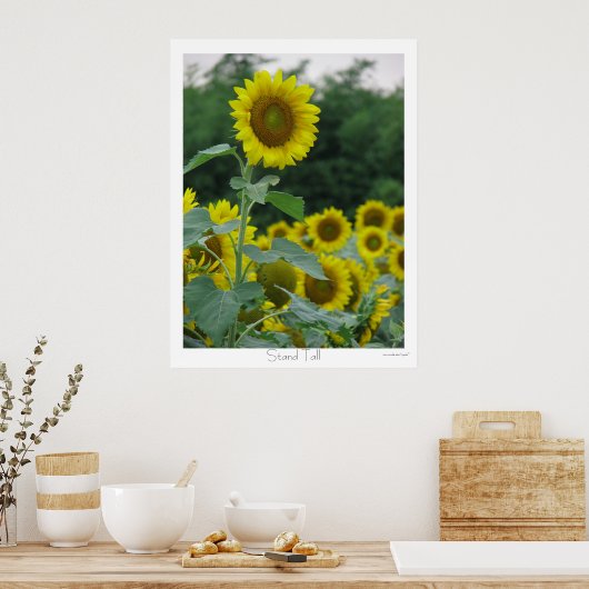 Standaardraal Poster (Keuken)