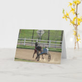 Standaardrassenpaard Kaart (Gele Bloem)