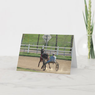 Standaardrassenpaard Kaart