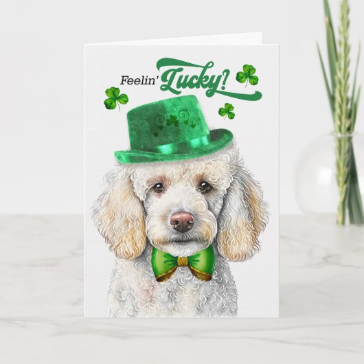 Standard Poodle Dog Feelin' Lucky St Patrick's Day Feestdagen Kaart (Voorkant)