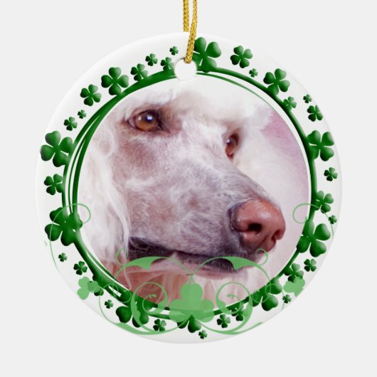 Standard Poodle St. Patrick's Day Ornament (Voorkant)