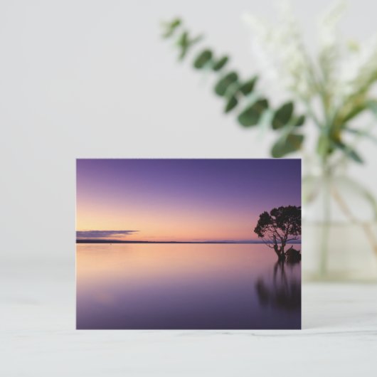 Standard Postcard Briefkaart (Staand voorkant)