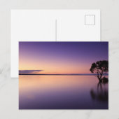 Standard Postcard Briefkaart (Voorkant / Achterkant)