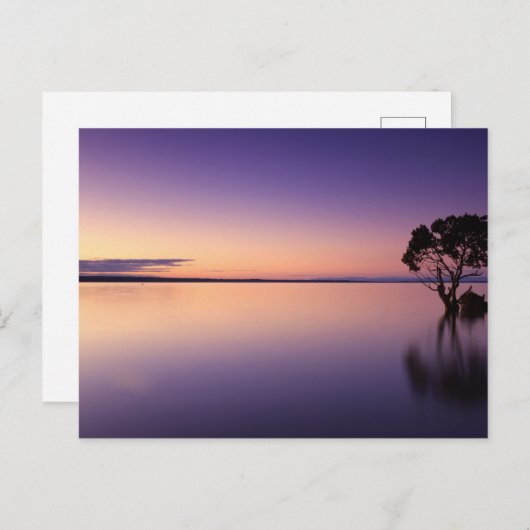 Standard Postcard Briefkaart (Voorkant / Achterkant)