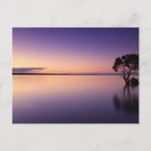 Standard Postcard Briefkaart (Voorkant)