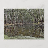 Standard postcard briefkaart (Voorkant)