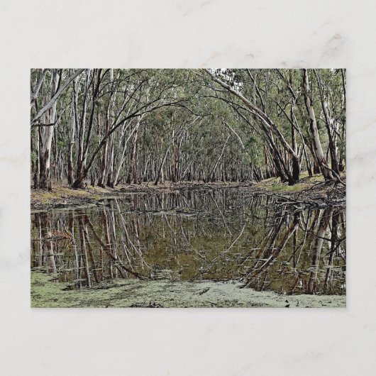 Standard postcard briefkaart (Voorkant)