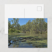 Standard postcard briefkaart (Voorkant / Achterkant)