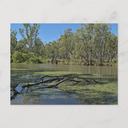 Standard postcard briefkaart (Voorkant)