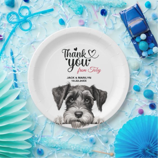 Standard Schnauzer Papieren Bordje (Feest)