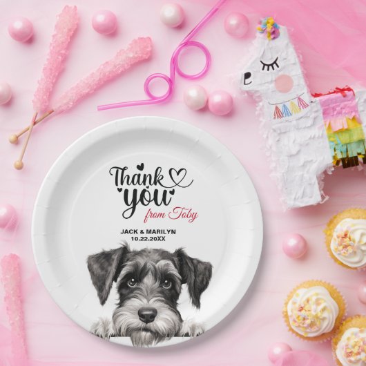 Standard Schnauzer Papieren Bordje (Feest)