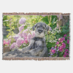 Standard Schnauzer Puppy in een bloeiende tuin - Deken