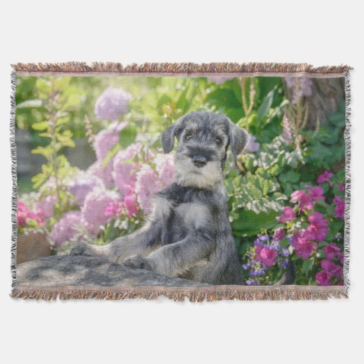 Standard Schnauzer Puppy in een bloeiende tuin - Deken (Voorkant)