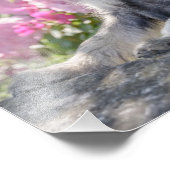 Standard Schnauzer Puppy in een bloeiende tuin - Foto Afdruk (Hoek)