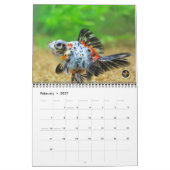 Standard Size 2016 SOLID GOLD Goldfish Calendar Kalender (Feb 2027)