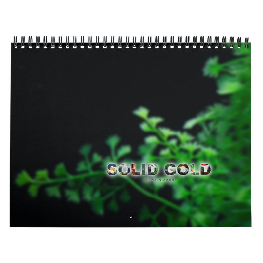 Standard Size 2016 SOLID GOLD Goldfish Calendar Kalender (Hoes)
