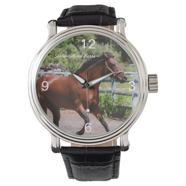 Standardbred paard galopperen Horloge (Voorkant)