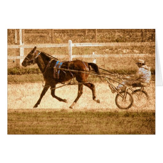 Standardbred Race Horse (Voorkant Horizontaal)