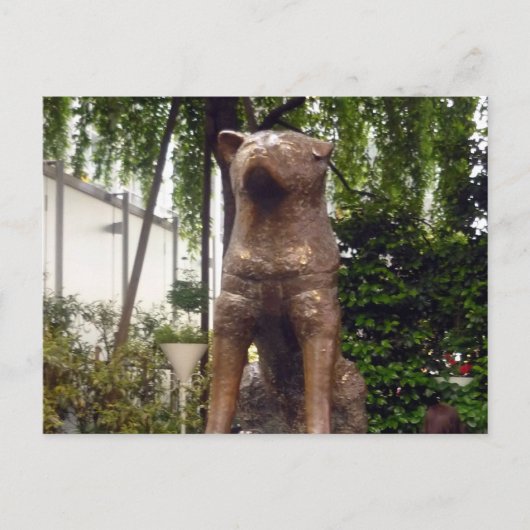 standbeeld hachiko shibuya briefkaart (Voorkant)