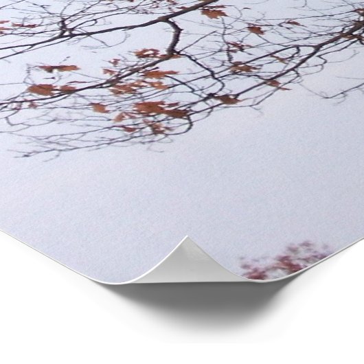 standbeeld poster (Hoek)