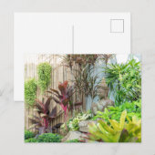 Standbeeld van Boeddha in tuin Briefkaart (Voorkant / Achterkant)