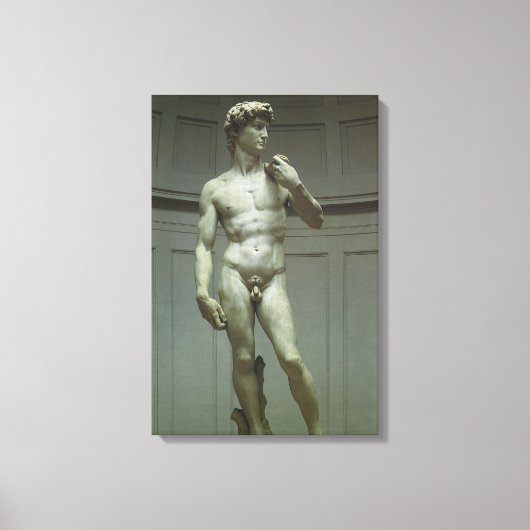 Standbeeld van David door Michelangelo Canvas Afdruk (Voorkant)