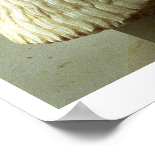 standbeeld van de ambtenaar Ebih-Il uit de tempel  Poster (Hoek)