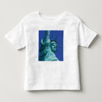 Standbeeld van de Vrijheid, New York, USA 8