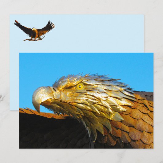 standbeeld van de zeearend (Voorkant / Achterkant)