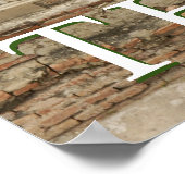 Standbeelden van zittende Boeddha's | Ayutthaya, T Poster (Hoek)