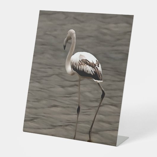 Standing Alone Juvenile Flamingo Art Reclamebord Met Voetstuk (Voorkant)