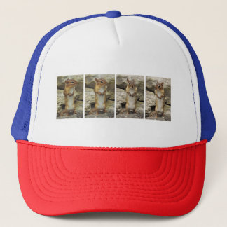 Standing chipmunk trucker pet